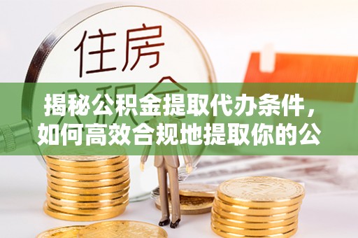 新园揭秘公积金提取代办条件，如何高效合规地提取你的公积金