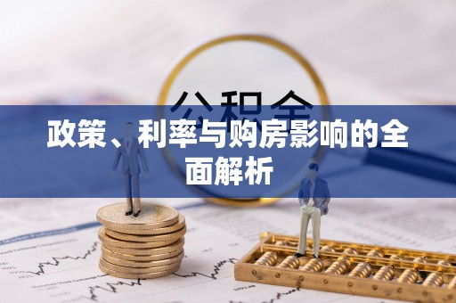 新园政策、利率与购房影响的全面解析