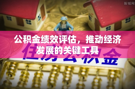 新园公积金绩效评估，推动经济发展的关键工具