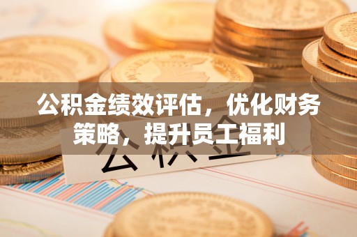 新园公积金绩效评估，优化财务策略，提升员工福利