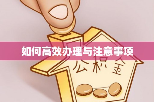 新园如何高效办理与注意事项