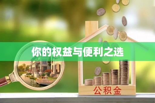 新园你的权益与便利之选