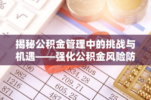 新园揭秘公积金管理中的挑战与机遇——强化公积金风险防控的多维策略