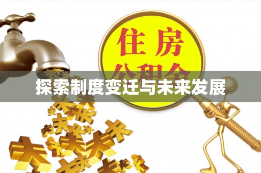 新园探索制度变迁与未来发展
