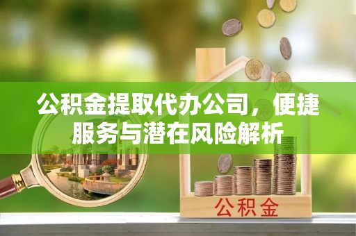 新园公积金提取代办公司，便捷服务与潜在风险解析