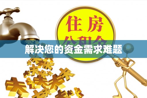 新园解决您的资金需求难题