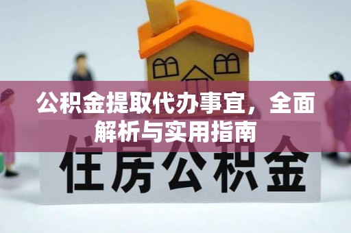 新园公积金提取代办事宜，全面解析与实用指南
