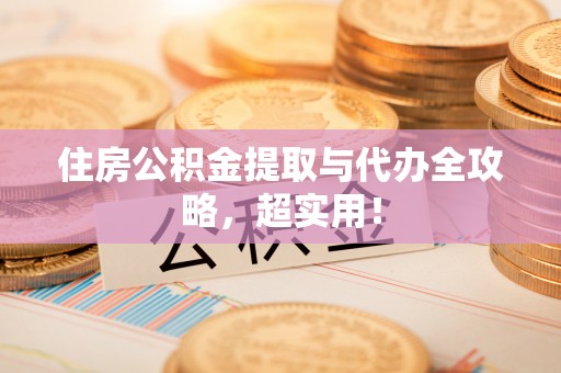 新园住房公积金提取与代办全攻略，超实用！