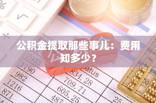 新园公积金提取那些事儿：费用知多少？