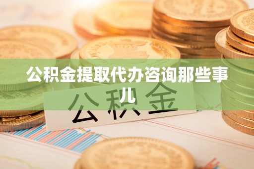 新园公积金提取代办咨询那些事儿