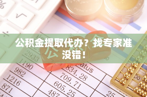 新园公积金提取代办？找专家准没错！