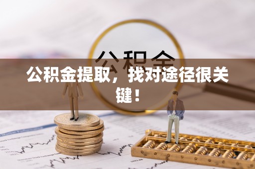 新园公积金提取，找对途径很关键！