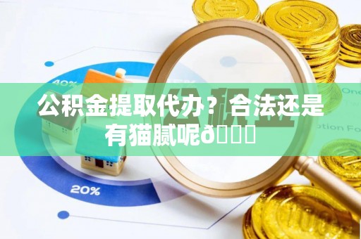 新园公积金提取代办？合法还是有猫腻呢😏