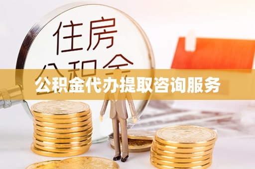 新园公积金代办提取咨询服务