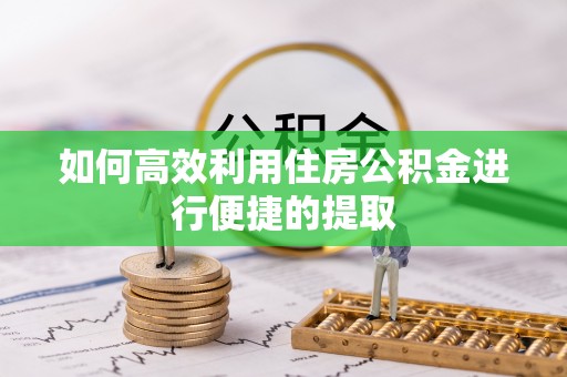 新园如何高效利用住房公积金进行便捷的提取