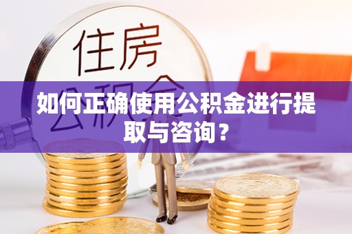 新园如何正确使用公积金进行提取与咨询？