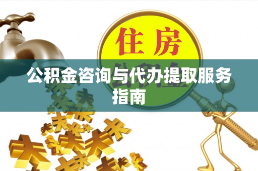 新园公积金咨询与代办提取服务指南