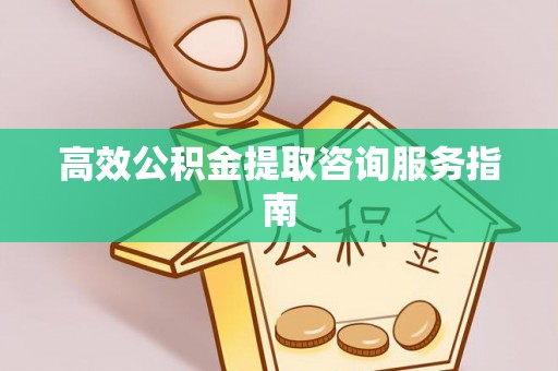 新园高效公积金提取咨询服务指南