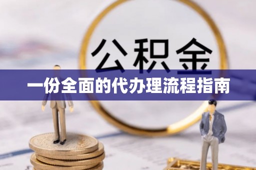 新园一份全面的代办理流程指南
